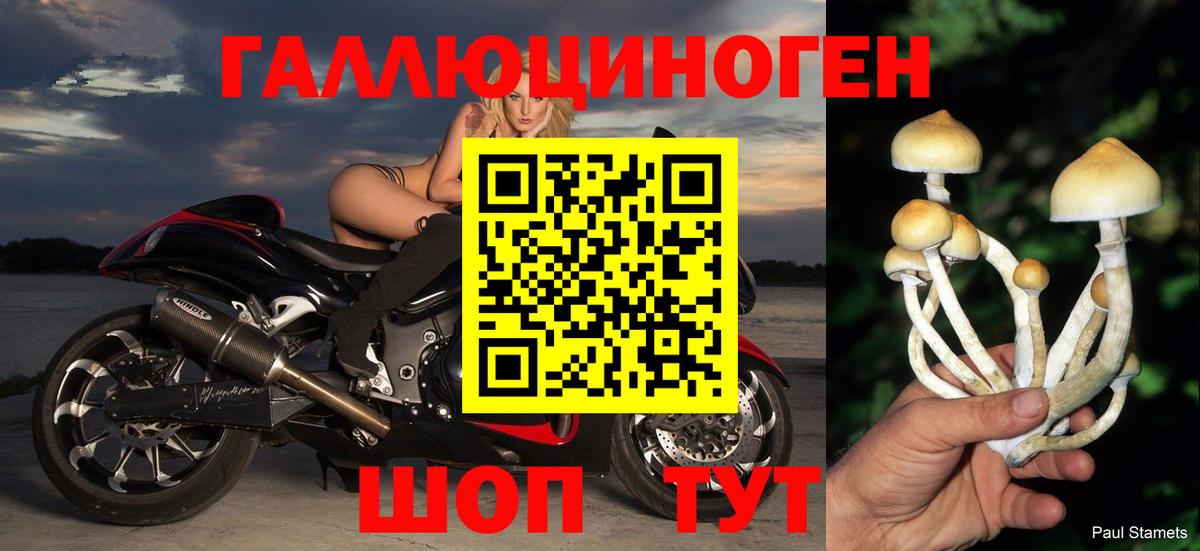 Галлюциногенные грибы GOLDEN TEACHER Гусь-Хрустальный